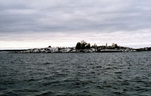 Måsklabben i januari 2009. Foto: Göran Stenberg.