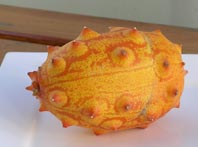 kiwano.jpg