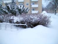 vinter1