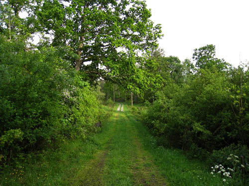 Den gamla landsvägen från 1700-talet. Den nya byggdes för 40 år sedan.