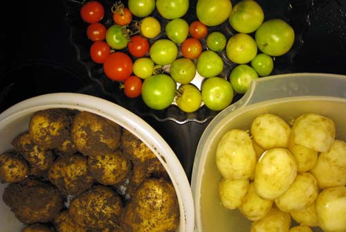 Sista stånden Maria och de sista tomaterna.