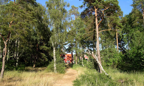 stora frögården