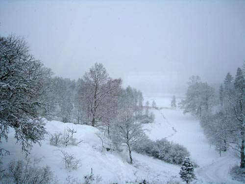 vinter